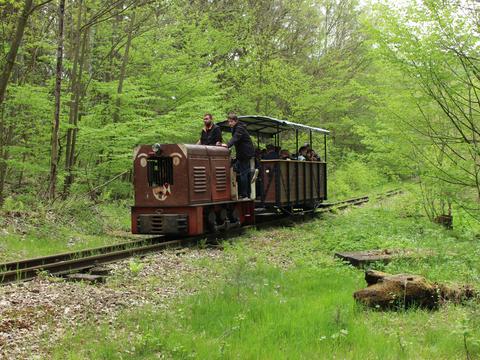Die Strecke der Eisenbahnfreunde Waldheim im Rauschenthal strömte Anfang Mai 2017 idyllische Feldbahnatmosphäre aus, als die Gastlok vom Typ Ns2f mit einem Personenwagen auf dem befahrbaren Abschnitt zwischen den Brücken pendelte.