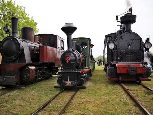 Auch die I K Nr. 54 war Mitte Mai im brandenburgischen Mildenberg zu Gast. Dort trafen sich Dampfloks auf drei Spurweiten: auf 630, 500 und 750 mm.