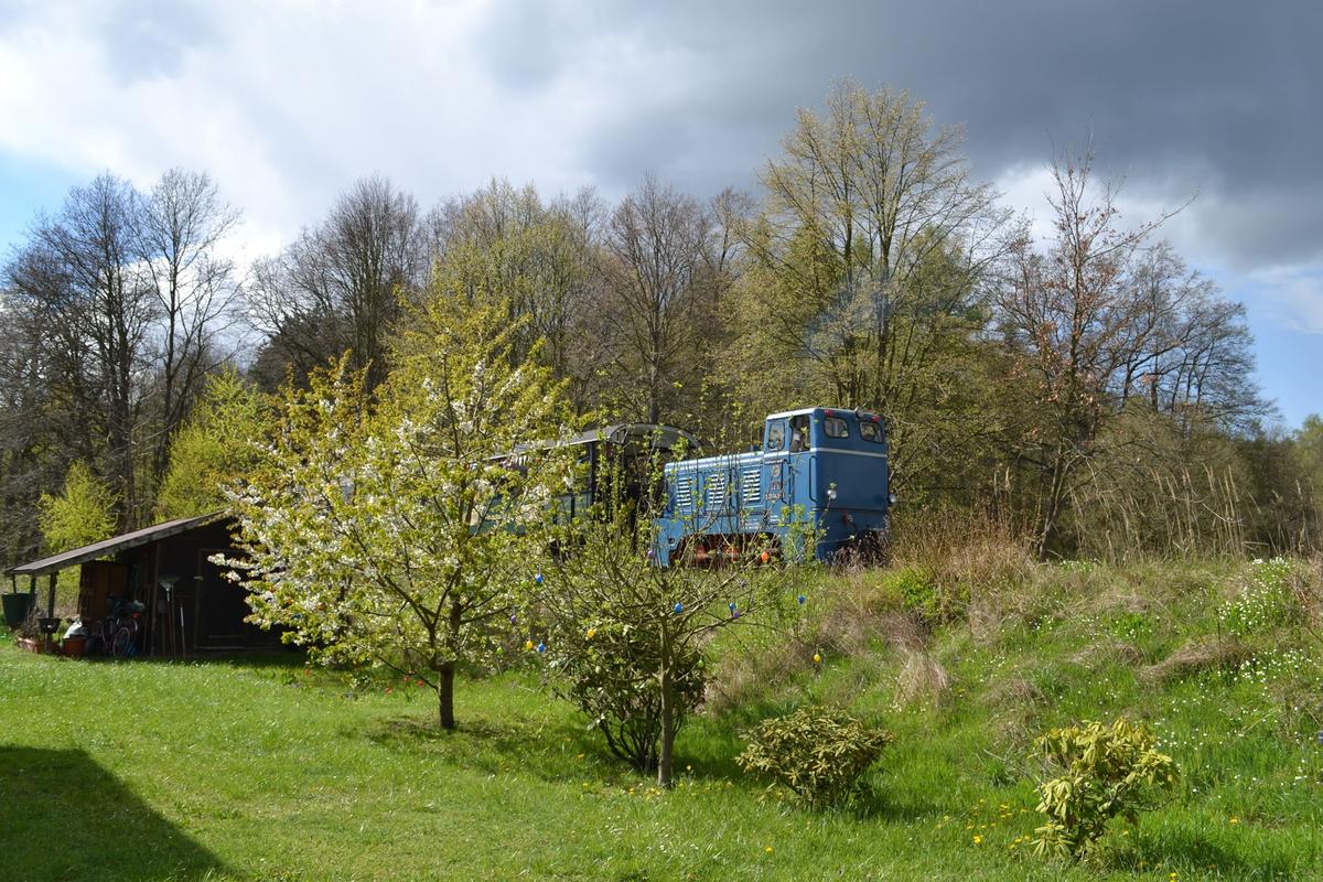 Beim Traditionsverein KJI fuhr die V10C 199 041-5 zu Ostern an mit Eiern geschmückten Bäumen vorbei.