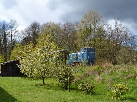 Beim Traditionsverein KJI fuhr die V10C 199 041-5 zu Ostern an mit Eiern geschmückten Bäumen vorbei.