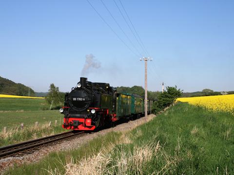Im Mai fahren die Züge des „Rasenden Rolands“ auf der Insel Rügen durch blühende Rapsfelder. Diese Aufnahme eines von 99 1782-4 geführten Personenzuges fertigte Matthias Kley am 19.  Mai 2017 an.