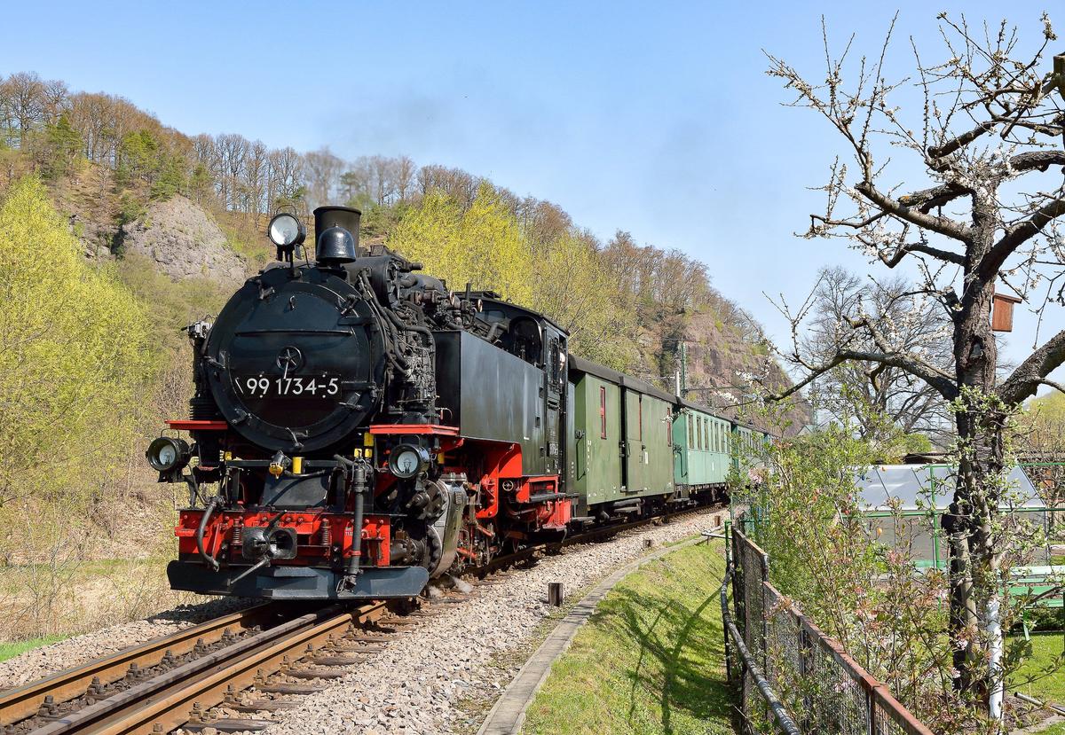 Die Lok 99 1734-5 passierte mit dem P5004 am 10. April auf dem Weg nach Dippoldiswalde die frühlingshaften grünen und österlich geschmückten Gärten in Freital-Coßmannsdorf.