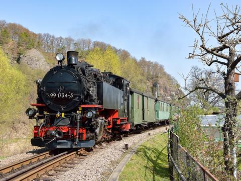 Die Lok 99 1734-5 passierte mit dem P5004 am 10. April auf dem Weg nach Dippoldiswalde die frühlingshaften grünen und österlich geschmückten Gärten in Freital-Coßmannsdorf.