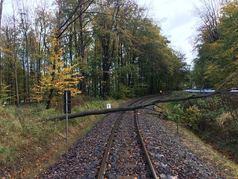 Durch die Herbststürme stürzten Ende Oktober mehrere Bäume auf das Gleis der Strecke Bad Doberan – Kühlungsborn West, hier eine Aufnahme vom 29. Oktober.