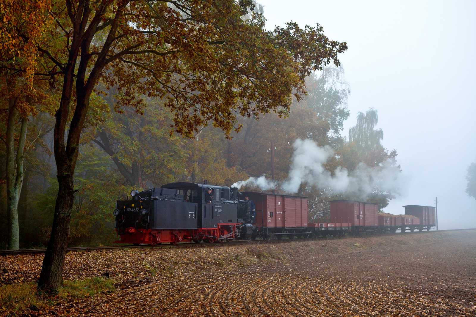 Am 30. Oktober lud der Verein Prignitzer Kleinbahnmuseum Lindenberg e. V. zum Güterzugtag beim Pollo ein – Dstg 8414 begegnet dort Joachim Jehmlich am Bahnübergang Tüchener Weg im herbstlichen Nebel.