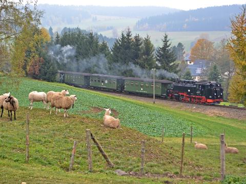 Wenig sonnig war es auch am 25. Oktober in Cranzahl, als ein paar Schafe den „DR-Zug“ der Fichtelbergbahn anlässlich einer privaten Fotofahrt beobachteten – im Bild festgehalten von Rainer Steger.