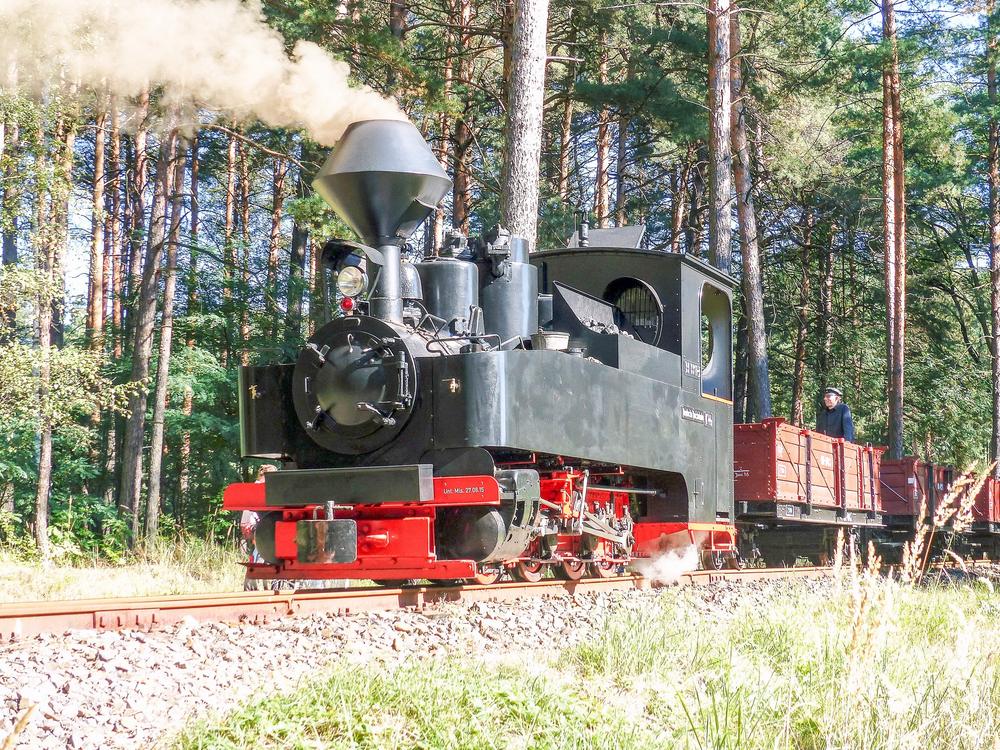 99 3318 der Waldeisenbahn Muskau im Wald zwischen Kromlau und Weißwasser.