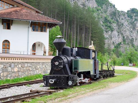 Am Kloster Dobrun in Bosnien-Herzegowina ist ein Waldbahnzug als Denkmal auf einem Gleisjoch aufgestellt. Unmittelbar dahinter verläuft die Museumsbahn von Mokra Gora nach Višegrad.