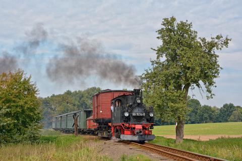 Anlässlich des Jubiläums „130 Jahre Schmalspurbahnstrecke Oschatz – Mügeln“ gab es am 13. September 2015 einen Foto-Pmg, der hier zwischen Thalheim-Kreischa und Naundorf unterwegs ist.