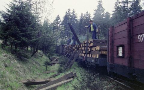 Arbeitseinsatz auf der Strecke Cranzahl-Oberwiesenthal durch Vereinsmitglieder, um als Tauschgeschäft Baumaterial von der Bahnmeisterei bekommen zu können. | 09.05.1992 | Foto: Jörg Müller Arbeitseinsatz auf der Strecke Cranzahl-Oberwiesenthal durch Vereinsmitglieder, um als Tauschgeschäft Baumaterial von der Bahnmeisterei bekommen zu können.