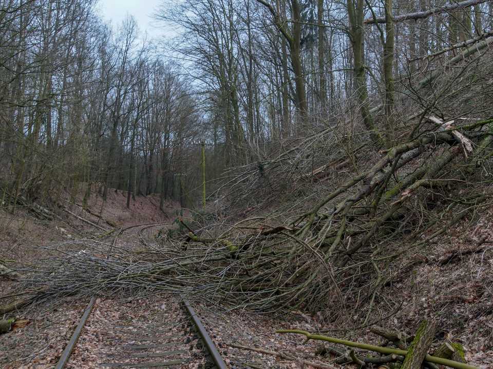 Durch das Sturmtief „Friederike“ stürzten im Januar im Bereich Fischheim zahlreiche Bäume auf den von den Schienentrabis befahrenen Teil der Muldentalbahn.