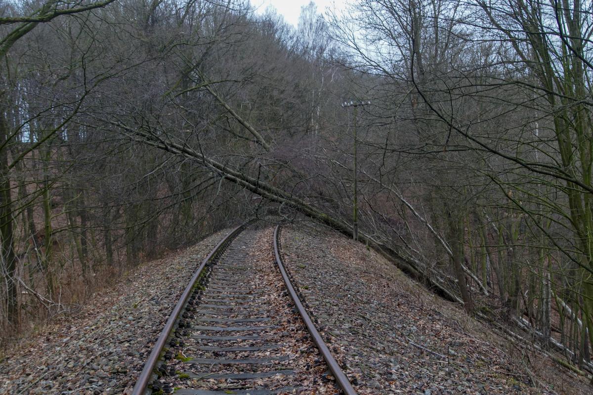 Durch das Sturmtief „Friederike“ stürzten im Januar im Bereich Fischheim zahlreiche Bäume auf den von den Schienentrabis befahrenen Teil der Muldentalbahn.