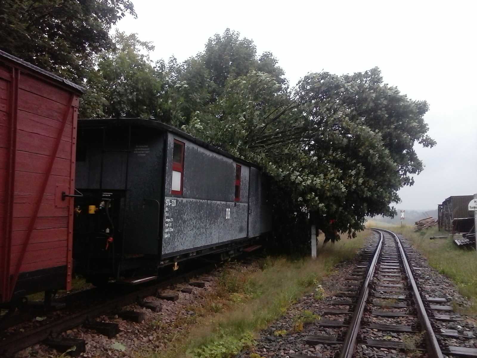 Bei einem Sturm kippte ein Baum auf den Gepäckwagens 974-320.