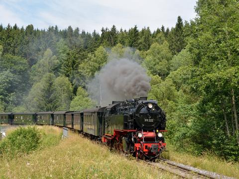 Mit dem grünen Wagenzug der HSB war die Einheitsschmalspurlok 99 222 am 17. Juli 2015 in der Ortslage Sorge unterwegs, als Joachim Jehmlich auslöste.