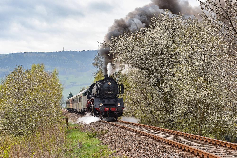 Frühling entlang der Erzgebirgischen Aussichtsbahn: Steffen Schmidt gelang diese Aufnahme der VSE-eigenen 50 3616-5 am 3. Mai 2015.
