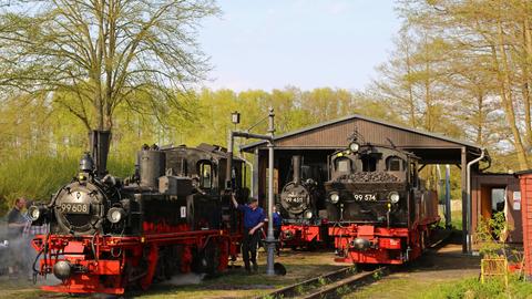 Drei Dampflokomotiven gleichzeitig im Einsatz war zur diesjährigen Dampfbetriebswoche erstmalig seit Bestehen des Vereins Prignitzer Kleinbahnmuseum Lindenberg e.V. zu erleben