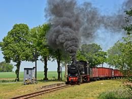 Anlässlich des 25. Bestehens des Pollo-Vereins gab die Mansfelder Bergwerksbahn e. V. ihre Lok 20 im Mai leihweise in die Prignitz, wo sie als 99 1401 verkehrte, hier am 9. Mai bei einer Fotofahrt.