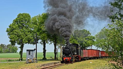 Anlässlich des 25. Bestehens des Pollo-Vereins gab die Mansfelder Bergwerksbahn e. V. ihre Lok 20 im Mai leihweise in die Prignitz, wo sie als 99 1401 verkehrte, hier am 9. Mai bei einer Fotofahrt.