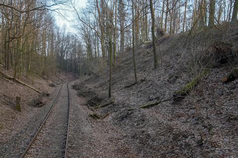Am 24. März war an der Muldentalbahn die Sturmschadens­beräumung im Bereich Fischheimer Borstel fast beendet.
