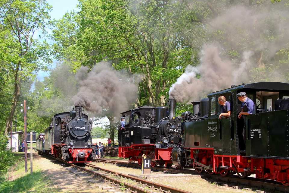 Drei Dampflokmotiven auf der Pollo-Museumsbahn im Einsatz – das gab es in der 25-jährigen Vereinsgeschichte noch nie! Während der traditionellen Dampfwoche waren aus Anlass des Jubiläums erstmals derartigen Begegnungen wie hier am 13. Mai in Brünkendorf zu erleben.