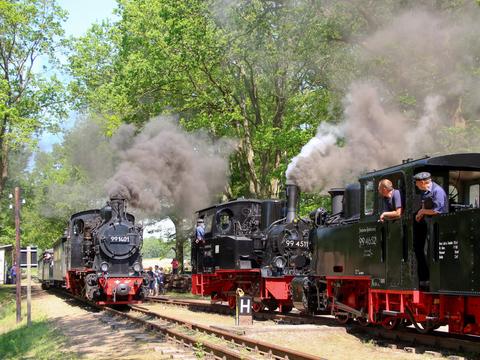Drei Dampflokmotiven auf der Pollo-Museumsbahn im Einsatz – das gab es in der 25-jährigen Vereinsgeschichte noch nie! Während der traditionellen Dampfwoche waren aus Anlass des Jubiläums erstmals derartigen Begegnungen wie hier am 13. Mai in Brünkendorf zu erleben.