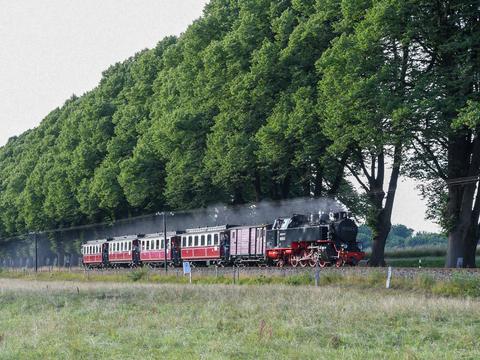 Am 12. Juli 2018 führte die Dampflok 99 2324-4 den 100-jährigen Zug der Mecklenburgischen Bäderbahn Molli GmbH, hier abgelichtet kurz vor Bad Doberan.