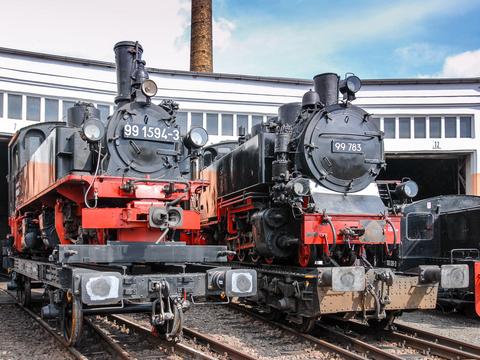 Erstmals nach dem Erwerb der Lokomotive durch die IG Preßnitztalbahn wurde 99 594 am 30. April an ihrem neuen Unterstellort im Bw Glauchau bei einem Besuchertag des Vereins „Traditionslok 58 3047 e. V.“ der Öffentlichkeit präsentiert. Neben ihr stand die ebenfalls zuletzt auf der Insel Rügen hinterstellte 99 783 der PRESS.