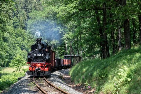 Im Wäldchen zwischen dem BÜ Grumbacher Straße und dem Hp Forellenhof war zum Fotozugtag der Preßnitztalbahn am 29. Juni 2018 die Lok 99 1542-2 mit dem N 11215 unterwegs.
