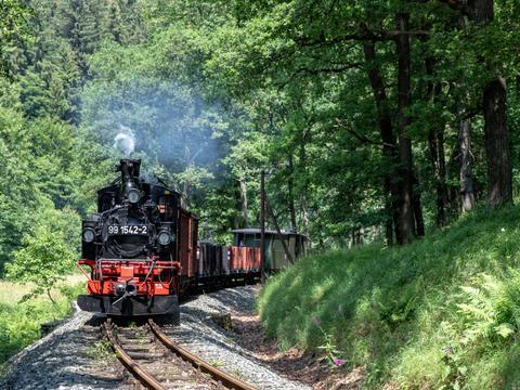 Im Wäldchen zwischen dem BÜ Grumbacher Straße und dem Hp Forellenhof war zum Fotozugtag der Preßnitztalbahn am 29. Juni 2018 die Lok 99 1542-2 mit dem N 11215 unterwegs.