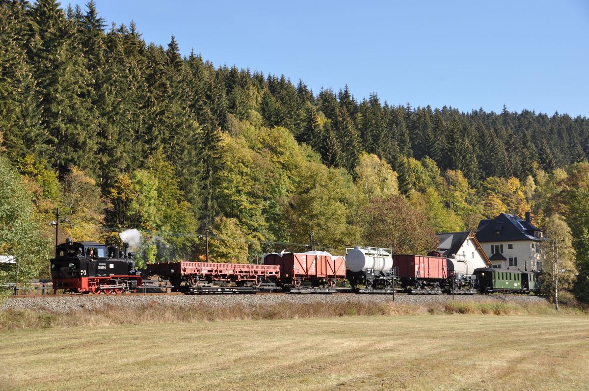 Fünf aufgebockte regelspurige Güterwagen hatte „Meppel“ 99 4511-4 am Haken, als Thomas Poth die Fuhre am Forellenhof ablichten konnte.