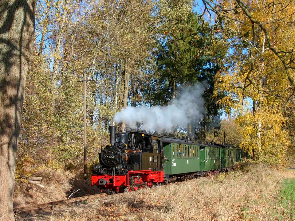 Das „Meppel“ 99 4511 war im Herbst bereits zum zweiten Mal in diesem Jahr auf der Museumsbahn Lindenberg – Mesendorf zu Gast. Am 31. Oktober fotografierte Ronald Meissner sie hinter dem Hp Vettin.