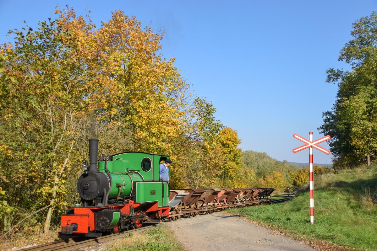 Die Henschel-Fabia des MPŽ am 14. Oktober 2018 bei einer Scheinanfahrt im herbstlich gefärbten Wald bei Babice u Rosic (Babitz), an der auf 600 mm umgespurten Strecke Zbýšov – Zastávka u Brna.