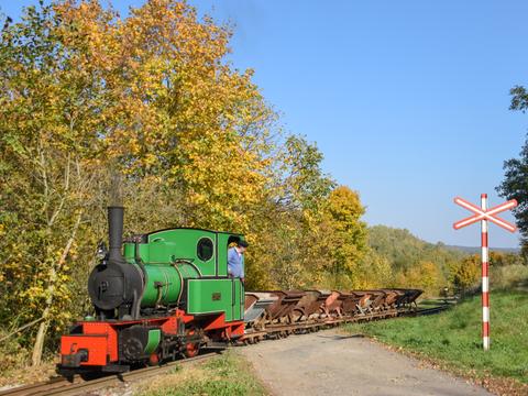 Die Henschel-Fabia des MPŽ am 14. Oktober 2018 bei einer Scheinanfahrt im herbstlich gefärbten Wald bei Babice u Rosic (Babitz), an der auf 600 mm umgespurten Strecke Zbýšov – Zastávka u Brna.