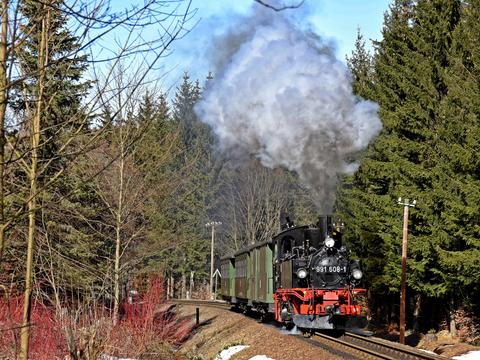 Am 22. März 2019 wurden auf der Fichtelbergbahn die „Straßenersatzzüge“ nachgestellt, die im Jahr 1990 zwischen Cranzahl und Neudorf verkehrten – wie damals fuhr die Lokomotive 99 1608-1 dabei mit einem Schild „991 608-1“ an der Rauchkammer.