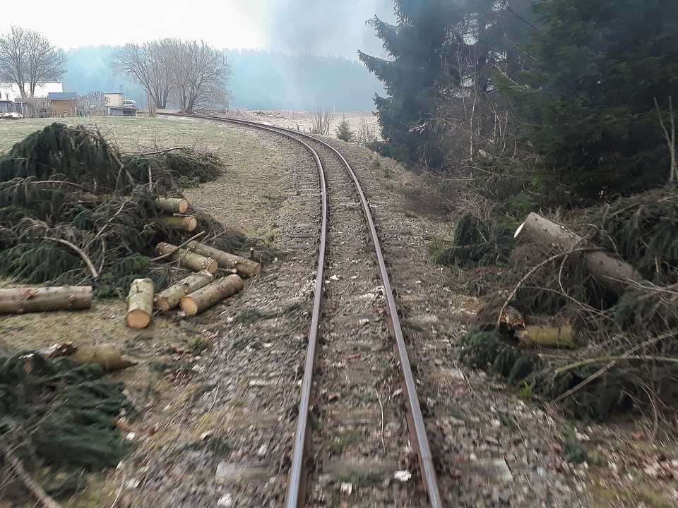 So zeigte sich die freigeschnittene Strecke der Museumsbahn Schönheide kurz vor der Stützengrüner Schranke am 24. März 2019.