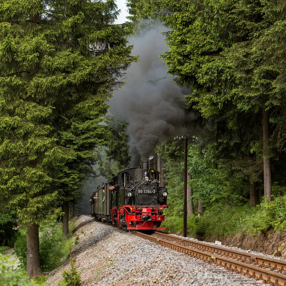 Am km 19,6 hielt Norman Timpe die 99 1594-3 am 9. Juni 2019 in voller Fahrt zwischen Schmalzgrube und Schlössel im Bild fest.
