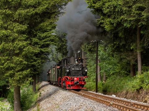 Am km 19,6 hielt Norman Timpe die 99 1594-3 am 9. Juni 2019 in voller Fahrt zwischen Schmalzgrube und Schlössel im Bild fest.