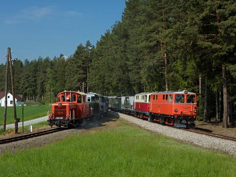 Anlässlich „60 Jahre Reihe 2095“ fand auf der Waldviertler Schmalspurbahn am 25. Mai 2019 in Alt Nagelberg eine Doppelausfahrt statt. Dabei führten die beiden Diesellokomotiven der Reihe 2091 des Waldviertler Schmalspurbahnvereins einen Zug nach Heidenreichstein (links) und die beiden in Gmünd beheimateten 2095 der NÖVOG einen gemischten Zug nach Litschau