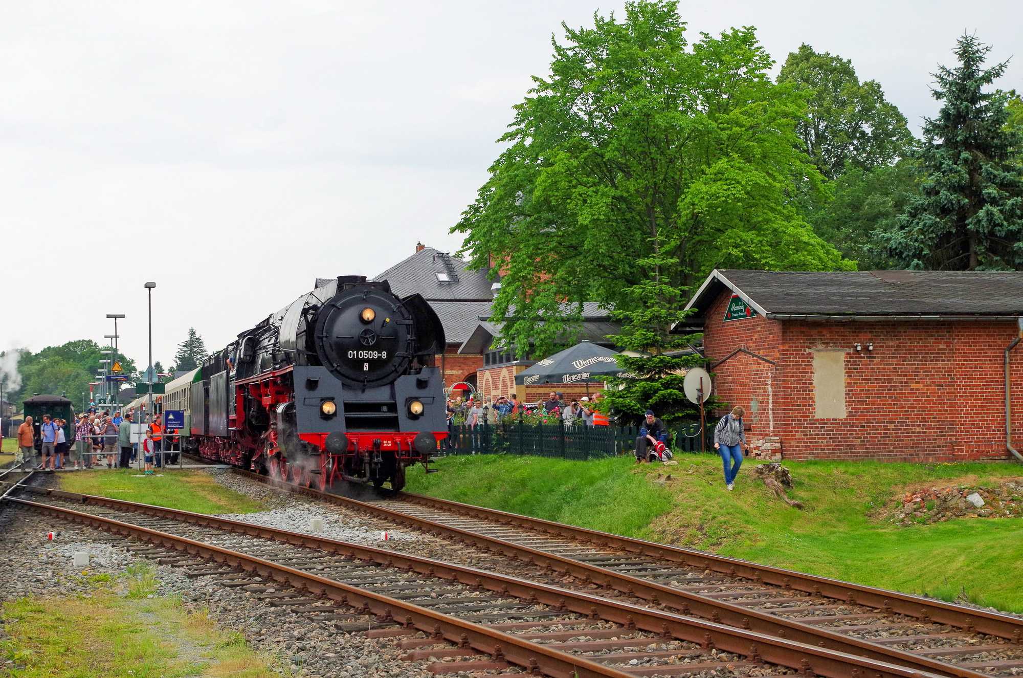 Die Reko-Lokomotive 01 0509-8 der PRESS zählte im Juni zu den Stars des Putbuser Bahnhofsfestes.