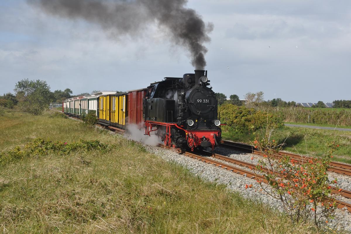 Auf zweigleisiger Trasse mit den historischen Weyerwagen der Borkumer Kleinbahn mit Volldampf unterwegs zum Hafen – die Gastlok 99 331 vom Molli, hier am 17. September 2019.