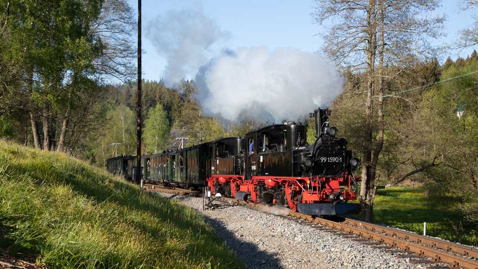 Zu Pfingsten kamen auf der Preßnitztalbahn die VI K 99 1715-4 oder zwei IV K im Wechsel vor einem sieben Wagen langen Zug zum Einsatz, hier am Abzweig zur Fahrzeughalle.