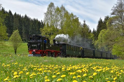 Durch die Corona-Einschränkungen startete die Preßnitztalbahn verspätet in die Saison 2020. Seit 9. Mai sind wieder jedes Wochenende Züge unterwegs, an diesem Tag passte Thomas Poth diesen Zug vor Schmalzgrube ab.