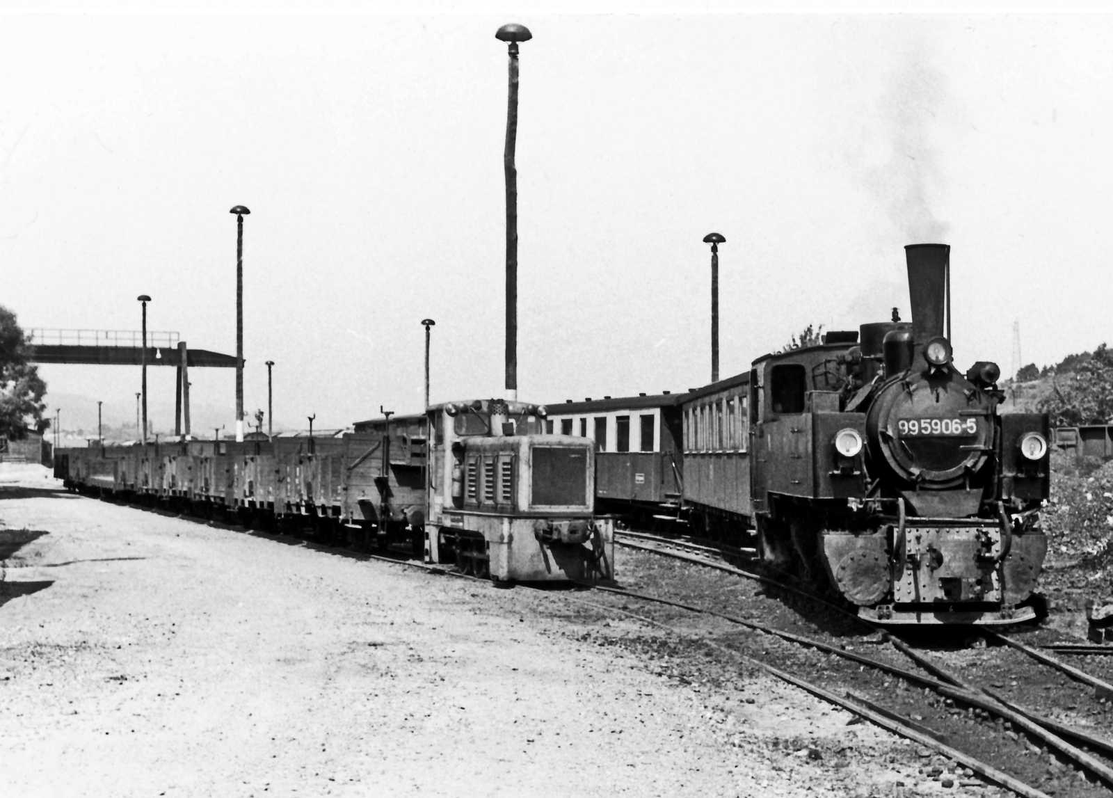 Die Umladegleise des Bahnhofes Gernrode überspannte ab 1963 ein Portalkran. Er vereinfachte die Abwicklung des Güterverkehrs auf der Selketalbahn. Zum Rangieren nutzte die DR in den 1980er Jahren ihre Dieselloks vom Typ V10C.