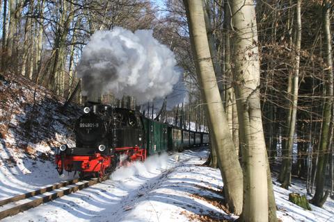 Ganz ohne Schnee ist auch die Insel Rügen in diesem Winter nicht geblieben. Matthias Kley hat die 99 4801-9 am 4. Februar mit dem Zug P 104 bei Garftitz abgelichtet.