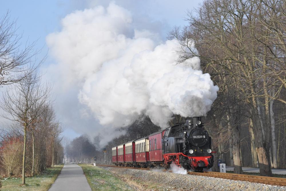 Am 24. Januar 2014 führte 99 2331-9 einen Fotopersonenzug auf der Strecke von Bad Doberan nach Kühlungsborn – und zurück …