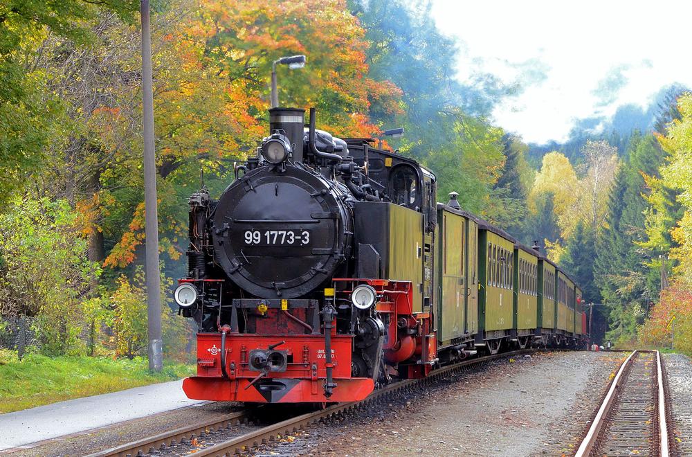 Einfahrt des EFKW-Sonderzuges mit 99 1773-3 auf der Fichtelbergbahn in Kretzscham-Rothensehma.