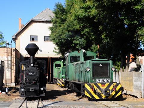 Im Depot in Deprecen stellen sich am 16. September Dampflok 394.023 und Diesellok Mk48.2009 den Fotografen.