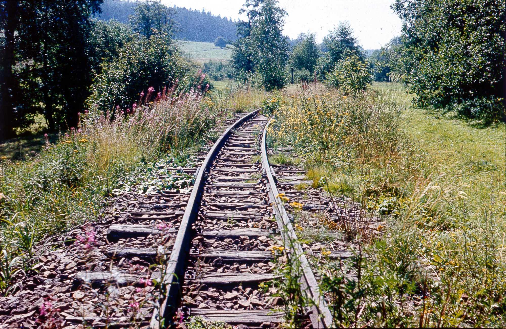 Im August 1976 fotografierte Wolfram Wagner in Jöhstadt vom BÜ mit der Straße zum Dürrenberg das noch liegende Gleis in Richtung Feuerlöschgerätewerk. Bei seinen späteren Besuchen der Preßnitztalbahn sah er viele Abschnitte in einem derartigen Zustand …
