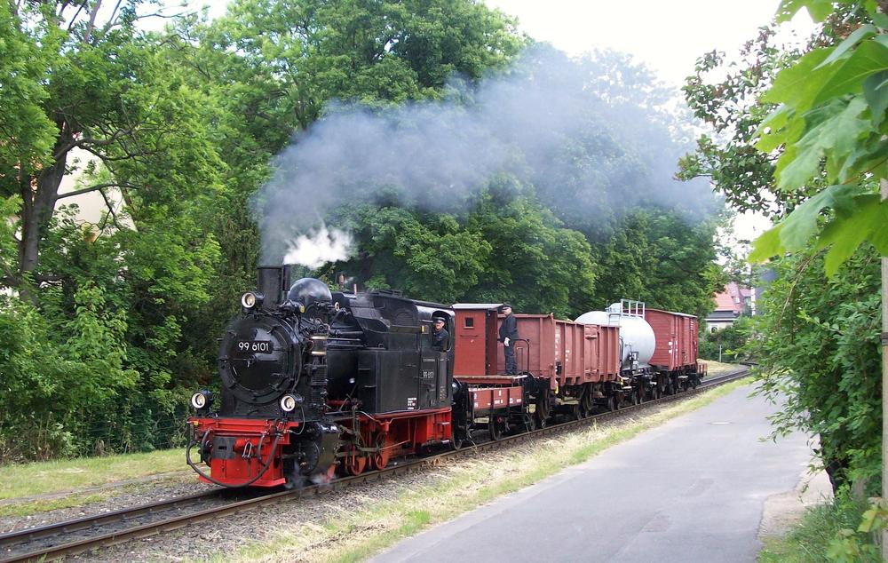 Einsatz eines fotogerechten Rollbock-Zuges mit 99 6101 in Wernigerode-Hasserode am 9. Juni.