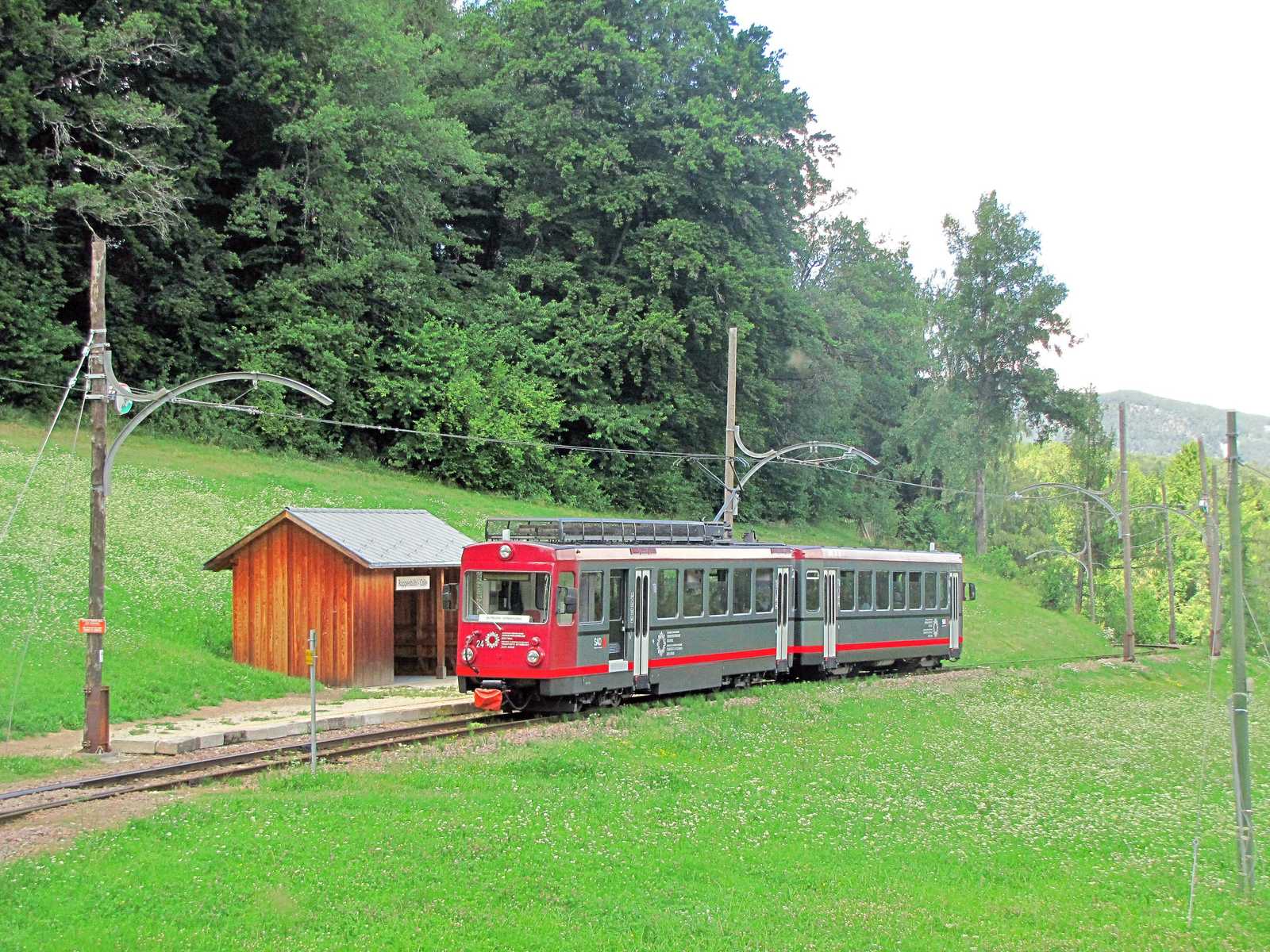 Die Haltestelle Rappersbühl liegt idyllisch zwischen Wäldern und Wiesen. Der Zug unterbricht seine Fahrt nur kurz, um einige Wanderer aussteigen zu lassen.